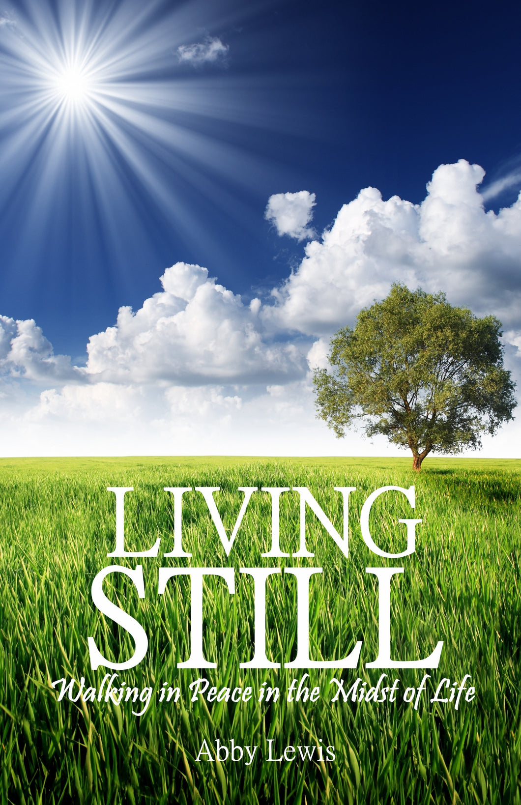 (Autographed Copy) Living Still-Walking in Peace in the Midst of Life